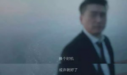 成年人的短视频,成年人的娱乐与生活新篇章